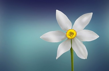 memorial service checklist flower