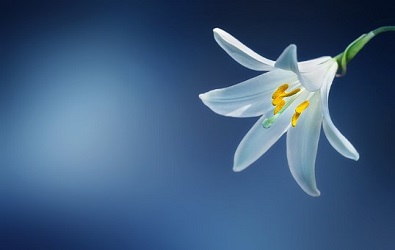 planning a memorial service checklist flower