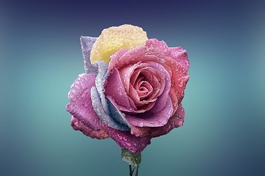 memorial checklist flower